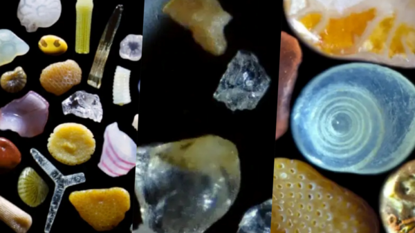 Tại sao hình dạng của cát trong sa mạc lại khác với cát trên bãi biển?