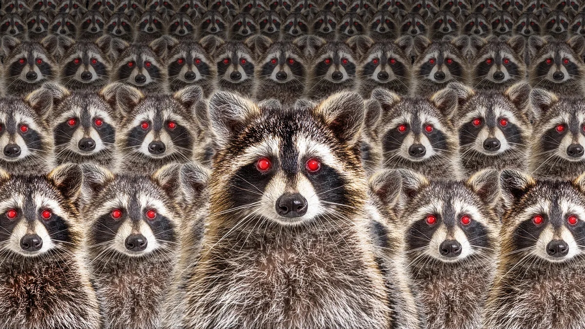 they-re-here-l-1778217389783-1778217390055822080055