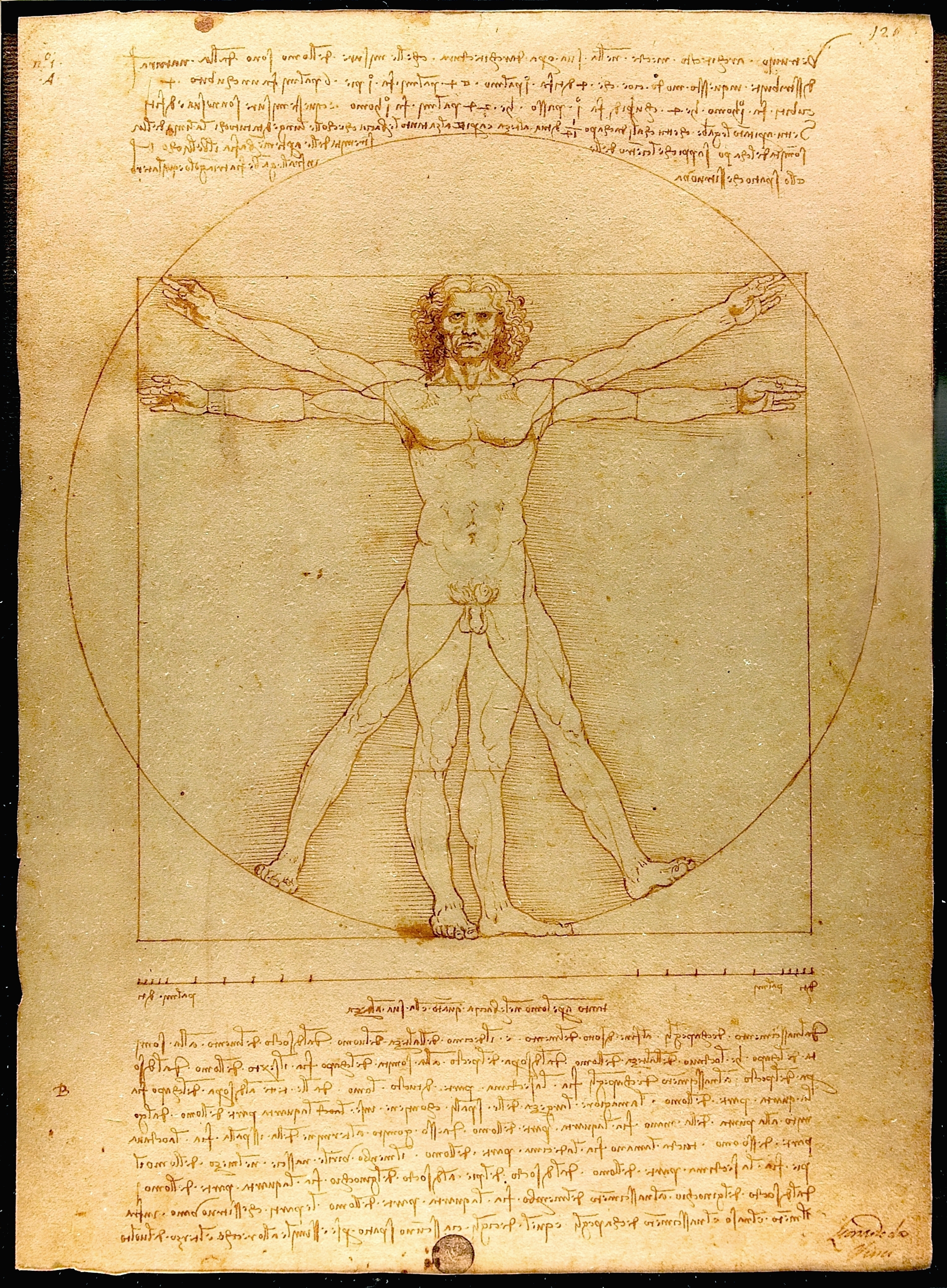 davincivitruvelucviatour-1781405204864154986534 Hơn 500 năm sau Leonardo da Vinci, tỷ lệ cơ thể của đàn ông Việt có còn khớp với "Người Vitruvius"? - Ảnh 5.