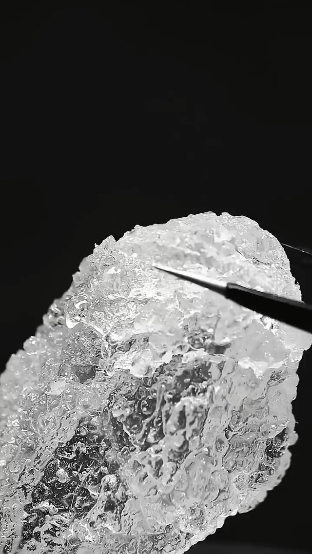 food-blogger-makes-translucent-f-1777794091880-17777940920091539170985