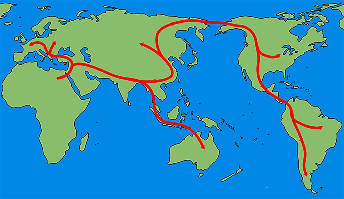 homo-sapiens-migration-world-map-ancient-migration-route-two-column-public-domainjpgthumb19201920-1780703510420-17807035106352101109316