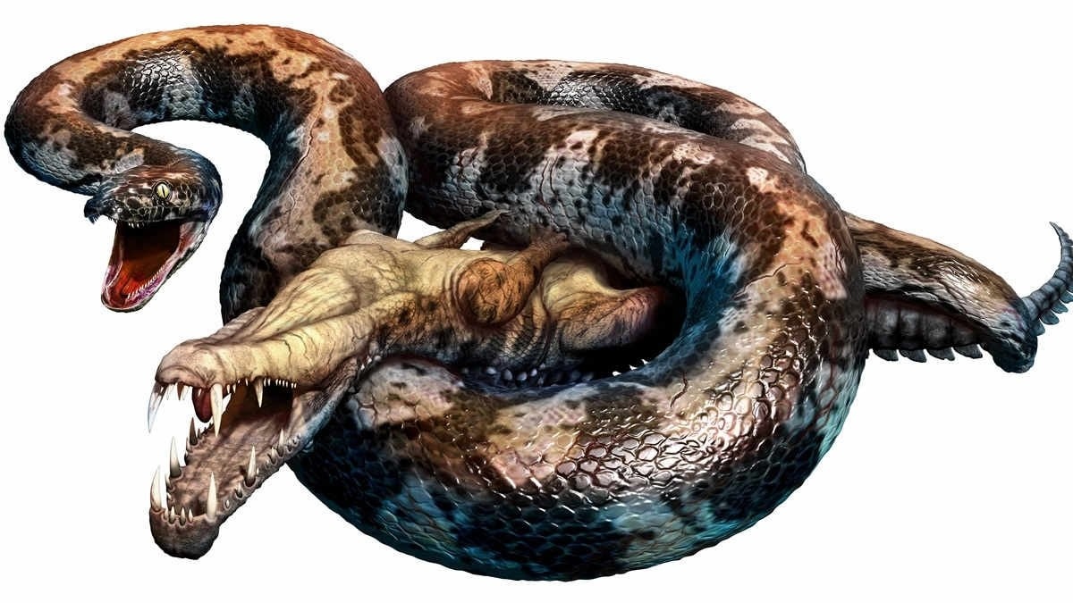 indian-fossils-point-to-a-giant-1778128427244-1778128428071812814130