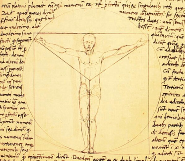 vitruvianmanbygiacomoandrea-17814054663152036596360 Hơn 500 năm sau Leonardo da Vinci, tỷ lệ cơ thể của đàn ông Việt có còn khớp với "Người Vitruvius"? - Ảnh 4.