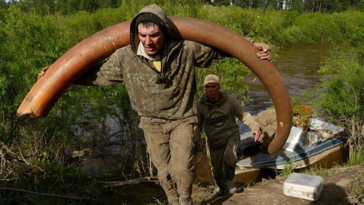 Bí ẩn rùng rợn đằng sau cơn sốt săn lùng xác voi ma mút Siberia