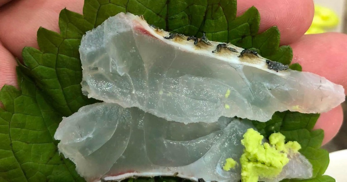 Một loại cá rẻ bèo bán đầy chợ Việt Nam, dinh dưỡng vượt cá hồi, được người Nhật tăng mua để làm sashimi