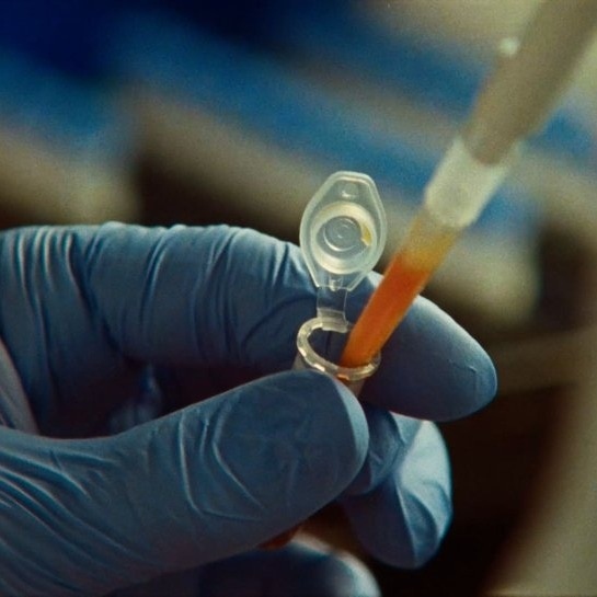 claude-discover-novel-enzyme-system-photo-wwwant-1790381366266-17903813679311524491830